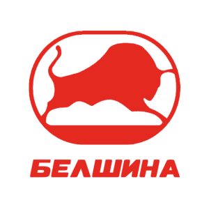 Белшина